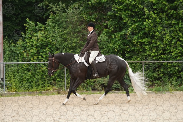 sA9K09970.JPG